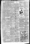Brixham Western Guardian Thursday 06 September 1906 Page 3