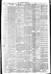 Brixham Western Guardian Thursday 08 August 1907 Page 5