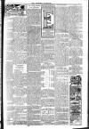 Brixham Western Guardian Thursday 15 August 1907 Page 3