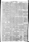 Brixham Western Guardian Thursday 15 August 1907 Page 5