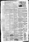 Brixham Western Guardian Thursday 23 July 1908 Page 3