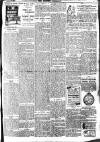 Brixham Western Guardian Thursday 20 January 1910 Page 3