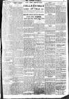 Brixham Western Guardian Thursday 17 February 1910 Page 5