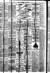 Brixham Western Guardian Thursday 19 June 1913 Page 4