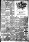 Brixham Western Guardian Thursday 06 January 1916 Page 7