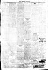 Brixham Western Guardian Thursday 16 January 1919 Page 3