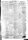 Brixham Western Guardian Thursday 23 January 1919 Page 3