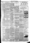 Brixham Western Guardian Thursday 01 May 1919 Page 5