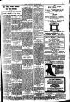 Brixham Western Guardian Thursday 03 July 1919 Page 3