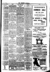 Brixham Western Guardian Thursday 10 July 1919 Page 3