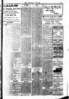 Brixham Western Guardian Thursday 10 July 1919 Page 5