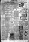 Brixham Western Guardian Thursday 17 June 1920 Page 3