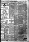 Brixham Western Guardian Thursday 29 January 1920 Page 5