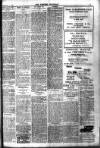 Brixham Western Guardian Thursday 05 February 1920 Page 5