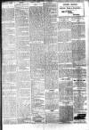 Brixham Western Guardian Thursday 12 February 1920 Page 5