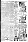 Brixham Western Guardian Thursday 19 February 1920 Page 3