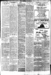 Brixham Western Guardian Thursday 18 March 1920 Page 3