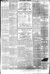 Brixham Western Guardian Thursday 18 March 1920 Page 5