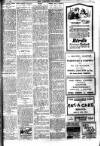 Brixham Western Guardian Thursday 17 June 1920 Page 3
