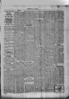 Caerphilly Journal Thursday 09 April 1914 Page 3