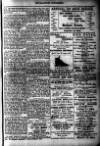 Grantown Supplement Saturday 02 November 1895 Page 3