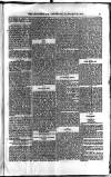 Civil & Military Gazette (Lahore) Saturday 22 January 1876 Page 5