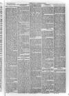 Bayswater Chronicle Saturday 15 November 1862 Page 5