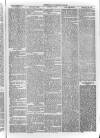 Bayswater Chronicle Saturday 20 December 1862 Page 5