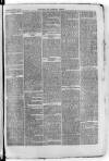 Bayswater Chronicle Saturday 11 November 1865 Page 3