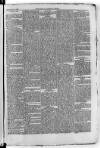 Bayswater Chronicle Saturday 11 November 1865 Page 5