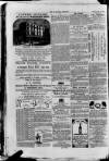 Bayswater Chronicle Saturday 11 November 1865 Page 8