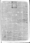 Bayswater Chronicle Saturday 01 September 1866 Page 7