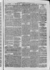 Bayswater Chronicle Saturday 21 March 1868 Page 7