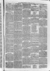 Bayswater Chronicle Saturday 16 May 1868 Page 7