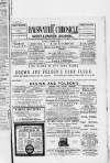 Bayswater Chronicle Saturday 06 November 1869 Page 1