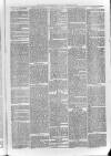 Bayswater Chronicle Saturday 19 February 1870 Page 3