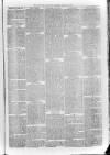 Bayswater Chronicle Saturday 19 February 1870 Page 7