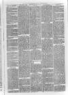 Bayswater Chronicle Saturday 26 February 1870 Page 3