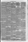 Bayswater Chronicle Saturday 15 April 1871 Page 5