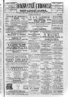 Bayswater Chronicle Saturday 20 January 1872 Page 1