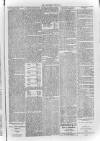 Bayswater Chronicle Saturday 27 April 1872 Page 5