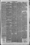 Bayswater Chronicle Saturday 15 February 1873 Page 5