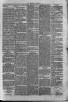 Bayswater Chronicle Saturday 03 May 1873 Page 5