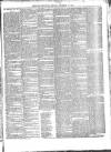 Andover Chronicle Friday 30 December 1870 Page 3