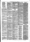 Andover Chronicle Friday 14 September 1877 Page 3