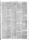 Andover Chronicle Friday 01 February 1878 Page 7