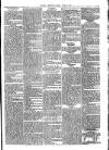 Andover Chronicle Friday 12 April 1878 Page 5
