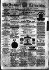 Andover Chronicle Friday 02 January 1880 Page 1