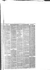 Andover Chronicle Friday 21 January 1881 Page 3