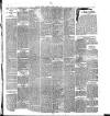 Cork Weekly Examiner Saturday 02 April 1898 Page 6